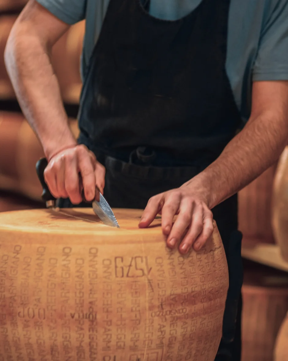 Close-up of a cheesemaker using a traditional knife to cut open a large wheel of authentic Parmigiano Reggiano cheese.